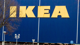 IKEA set to create the fast food of the future with insects, algae, and mealworms